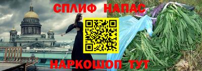 шишки Будённовск