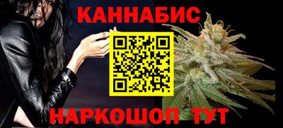 шишки Будённовск