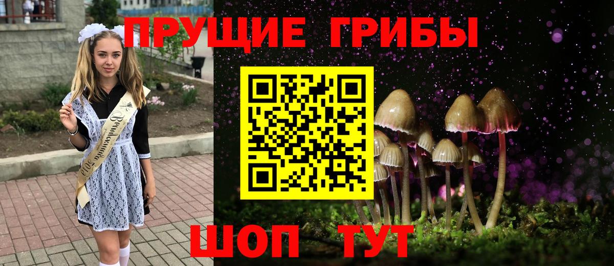 Копейск  Галлюциногенные грибы прущие грибы  хочу   Галлюциногенные грибы мухоморы  Вход с VPN 